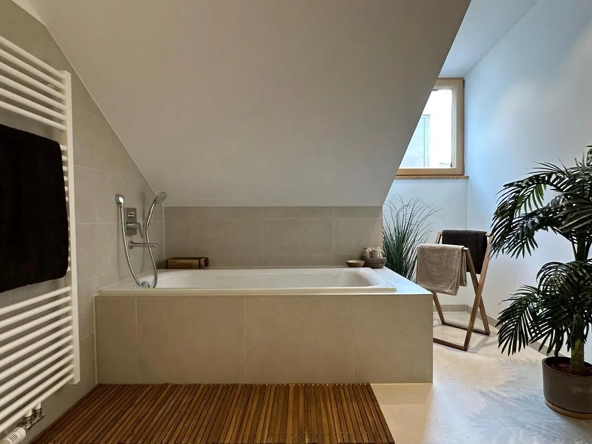 Truly - Direkt Am Rathausplatz, Dachterrasse Mit Blick Auf Perlachturm, Garage, Fahrstuhl Augsburg Apartment